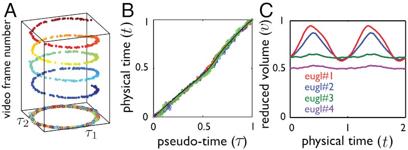 Fig. 2.