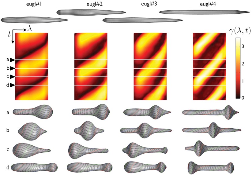 Fig. 4.