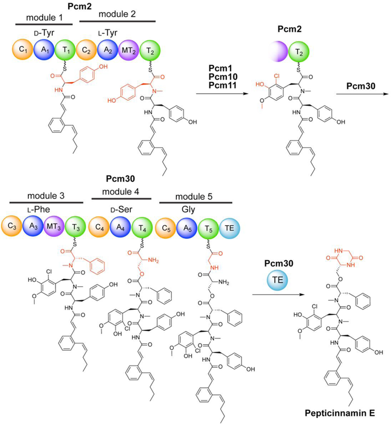 Figure 5.