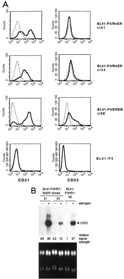 FIG. 5