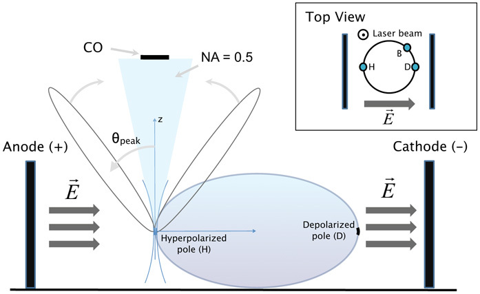 Fig. 1.