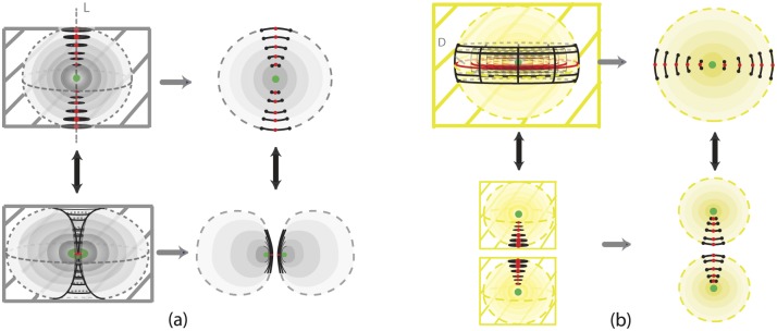 Fig 24