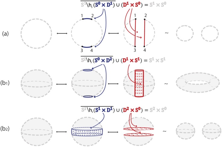 Fig 5