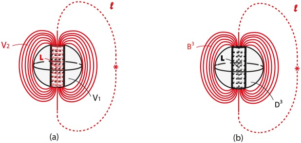 Fig 29