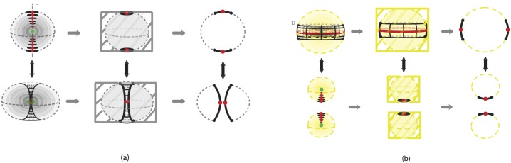 Fig 23