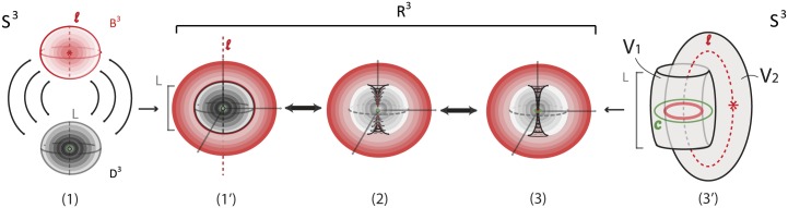 Fig 30