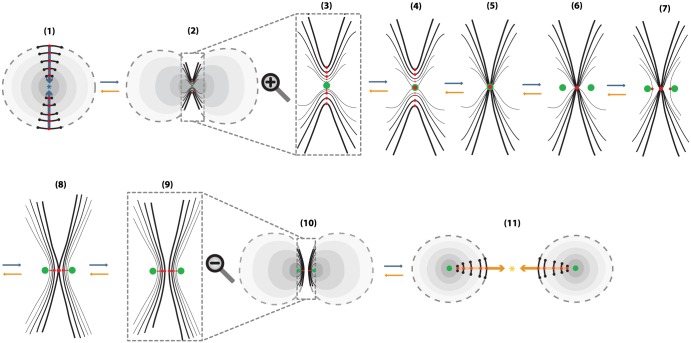 Fig 12