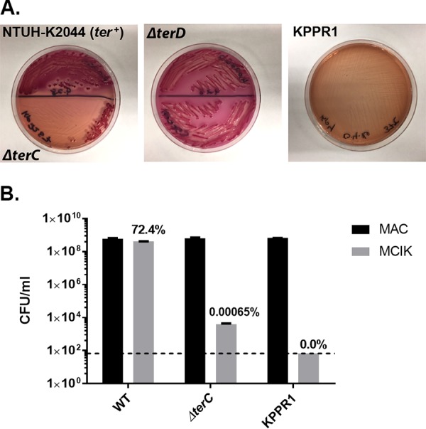 FIG 3 