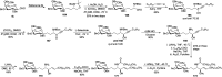 Scheme 34