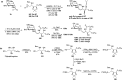 Scheme 33