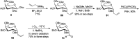 Scheme 23