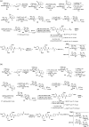Scheme 39