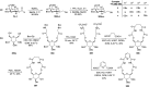 Scheme 58