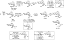Scheme 62