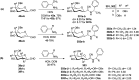 Scheme 46