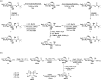 Scheme 51