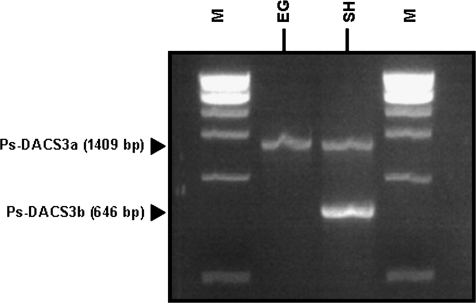 Fig. 11.