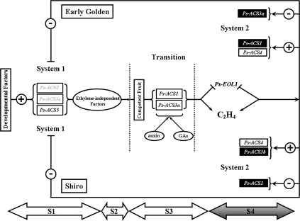 Fig. 12.