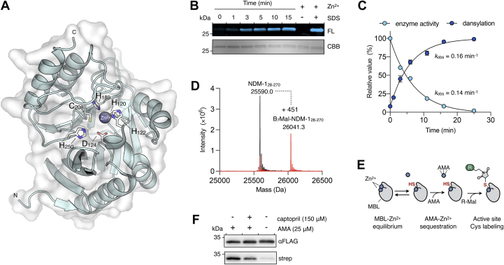 Figure 4