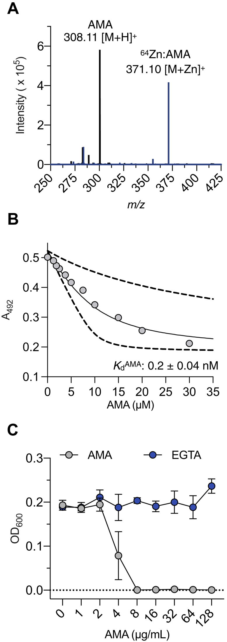 Figure 2