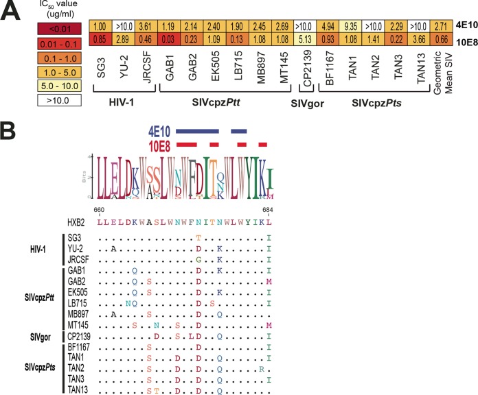 FIG 6 