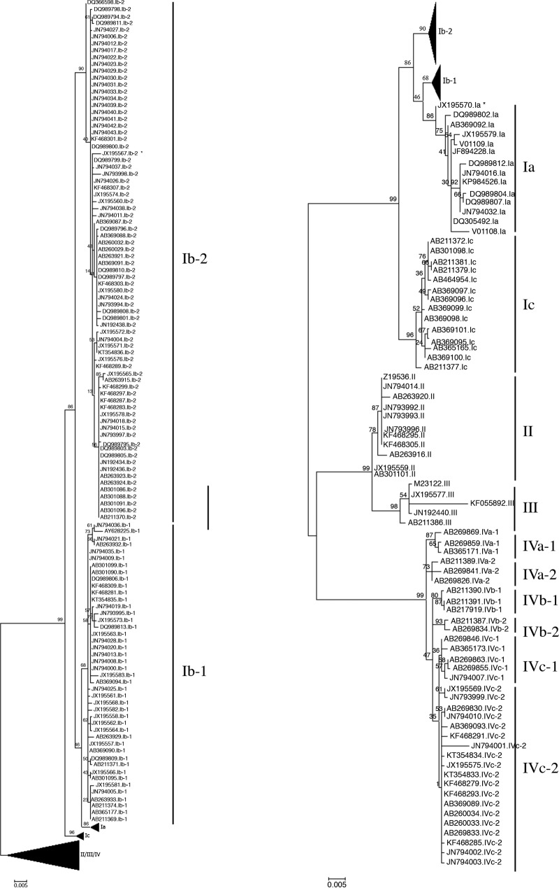 FIG 1