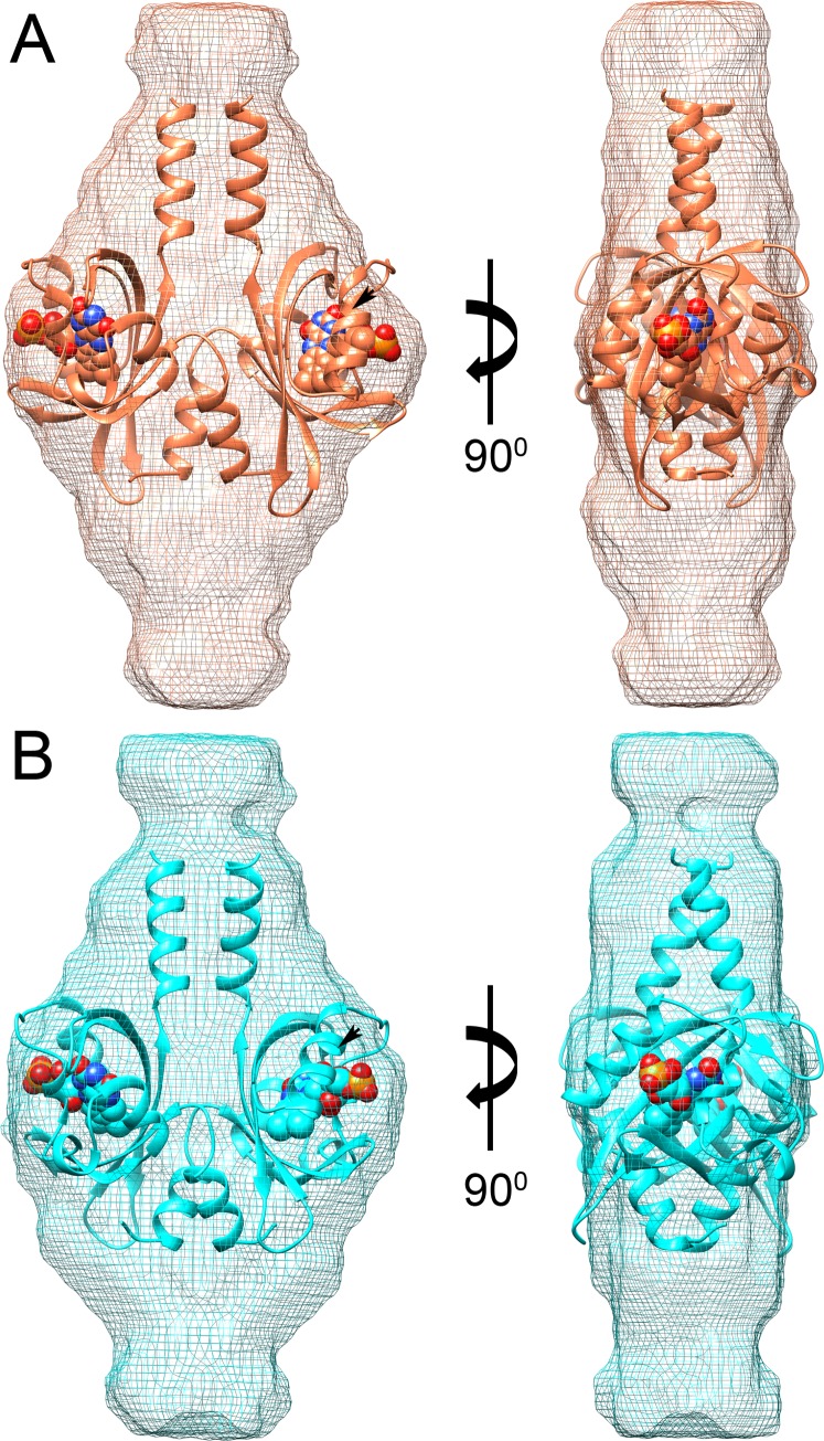 Fig 9