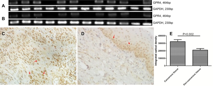 Fig 5