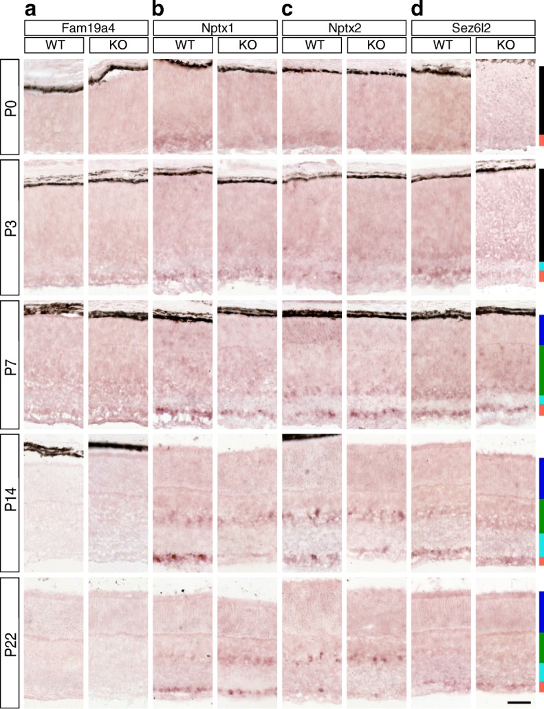 Fig. 10