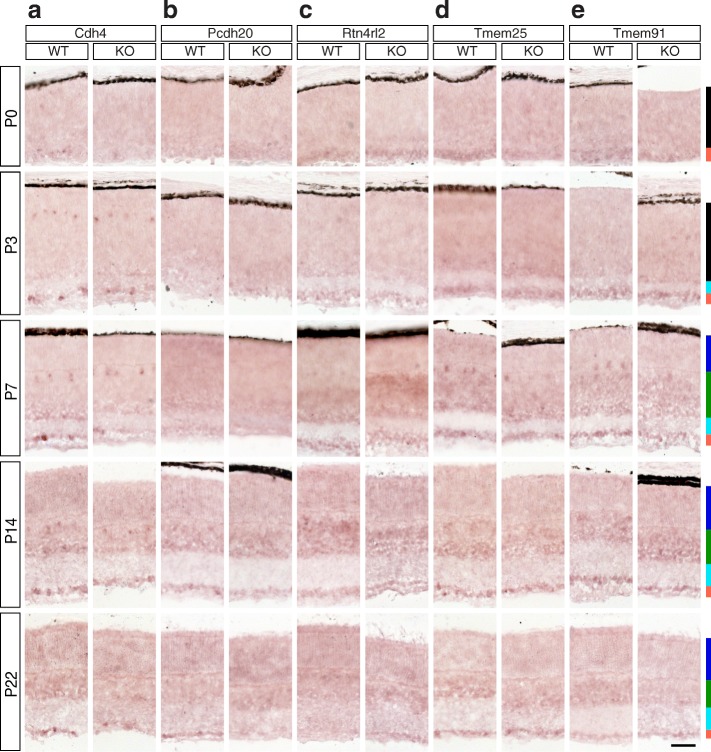 Fig. 12