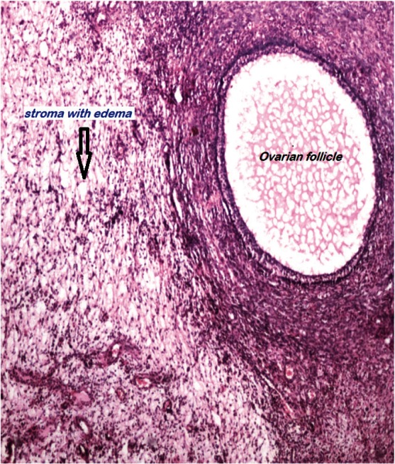 Figure 4: