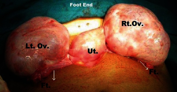 Figure 7: