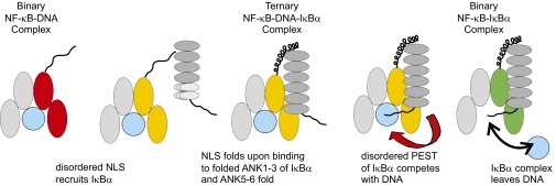 Fig. 6.