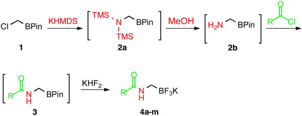 Scheme 1