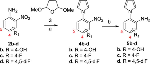 Scheme 5