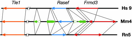 Fig. 3.