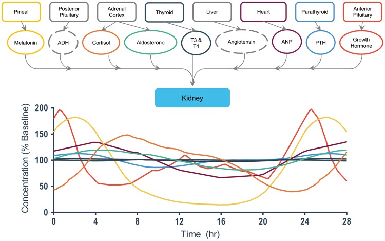 Figure 6.