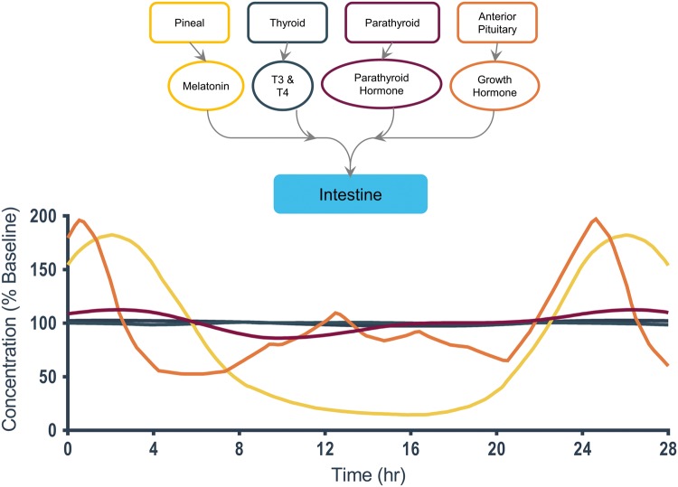 Figure 5.