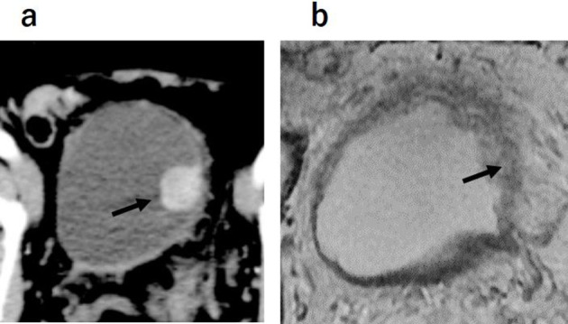 Figure 7.