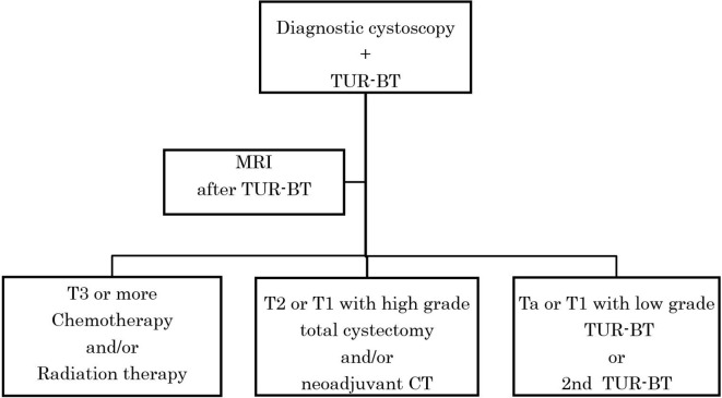 Figure 11.