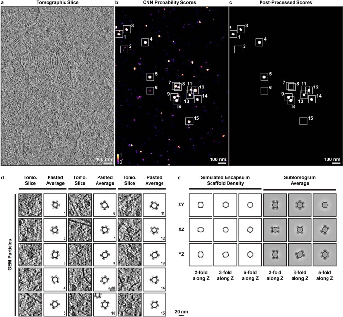 Extended Data Fig. 7