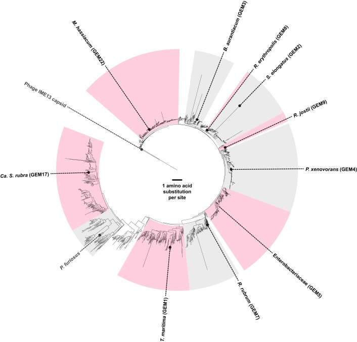 Extended Data Fig. 1