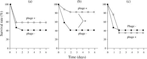 FIG. 8.