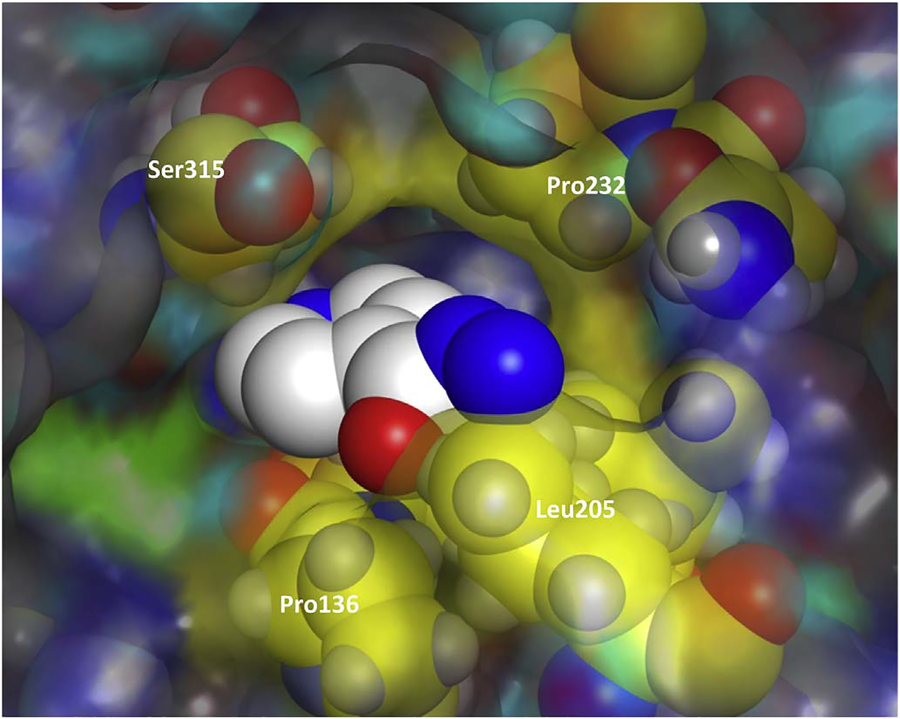 Fig. 4.