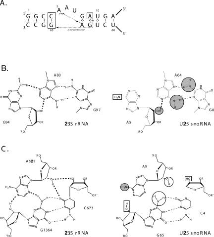 FIGURE 6.