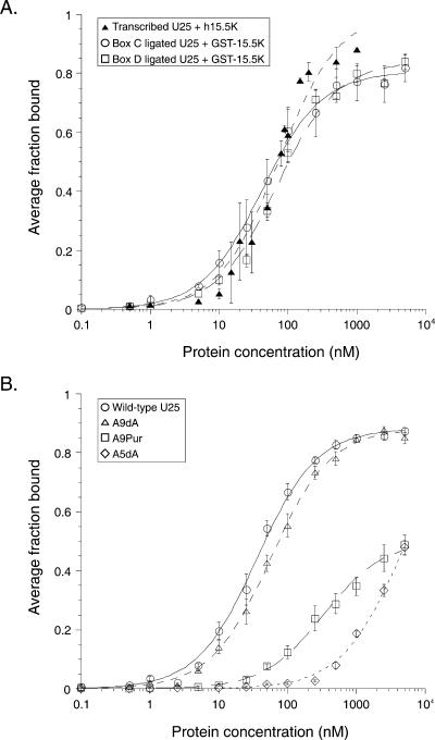 FIGURE 4.