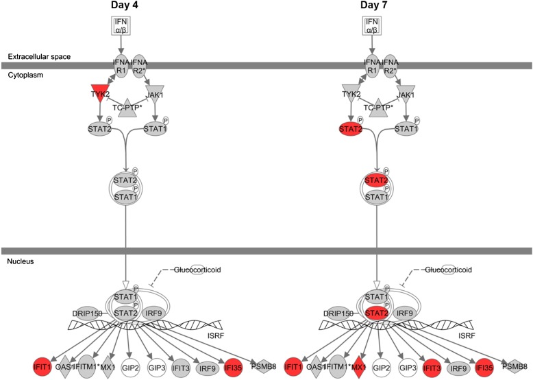 Figure 6.