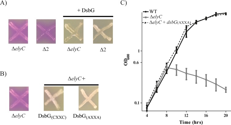 FIG 3