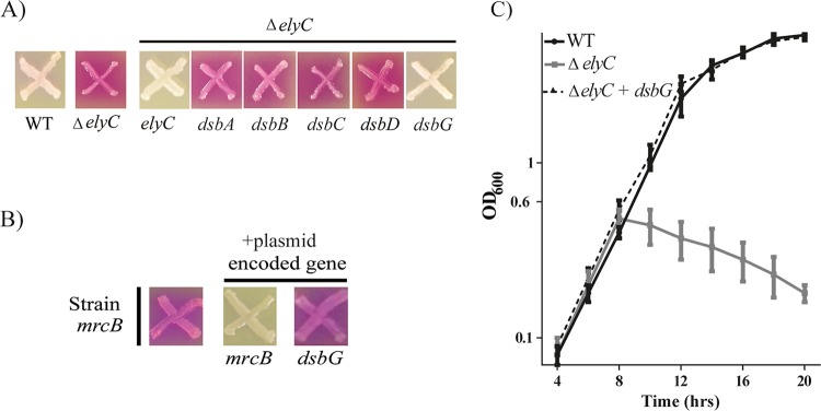 FIG 1