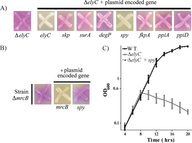 FIG 4